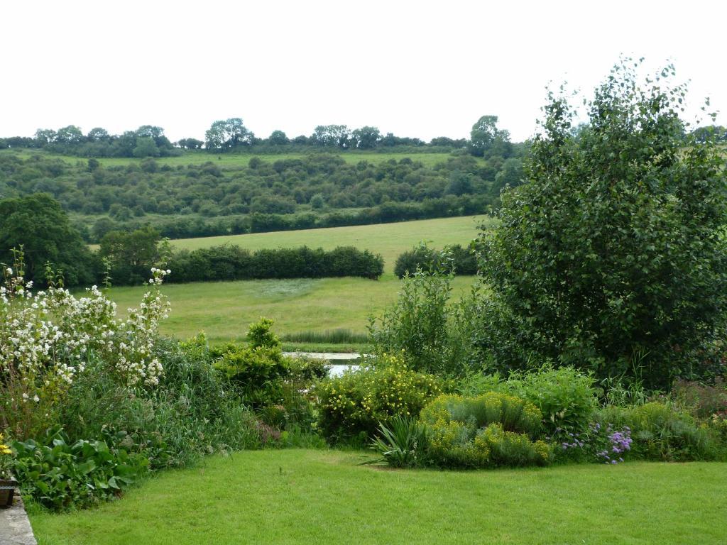 Cameley Lodge - Self Catering Temple Cloud Bagian luar foto