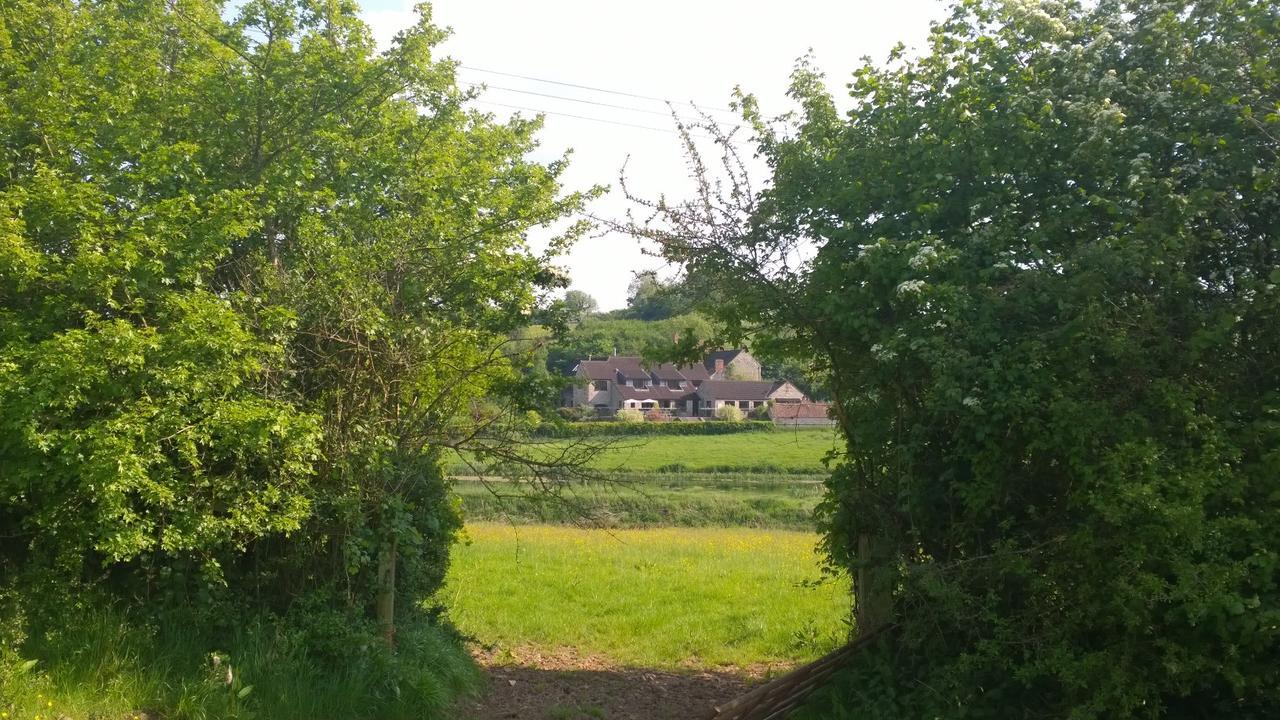 Cameley Lodge - Self Catering Temple Cloud Bagian luar foto